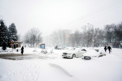 Ростов-на-Дону 29 января 2014