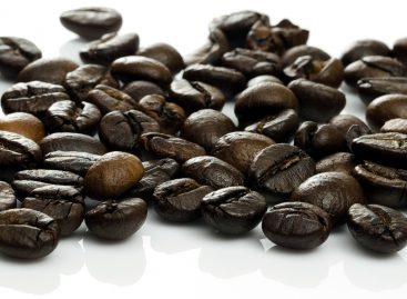 10 кг отходов кофе – это примерно 2 л биотоплива
