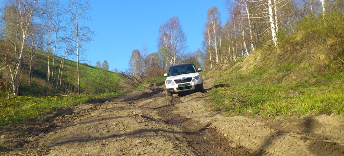 В Пермском крае пенсионера оштрафовали за положенные на разбитую дорогу доски