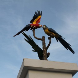 Знаменитый Loro Parque на Тенерифе