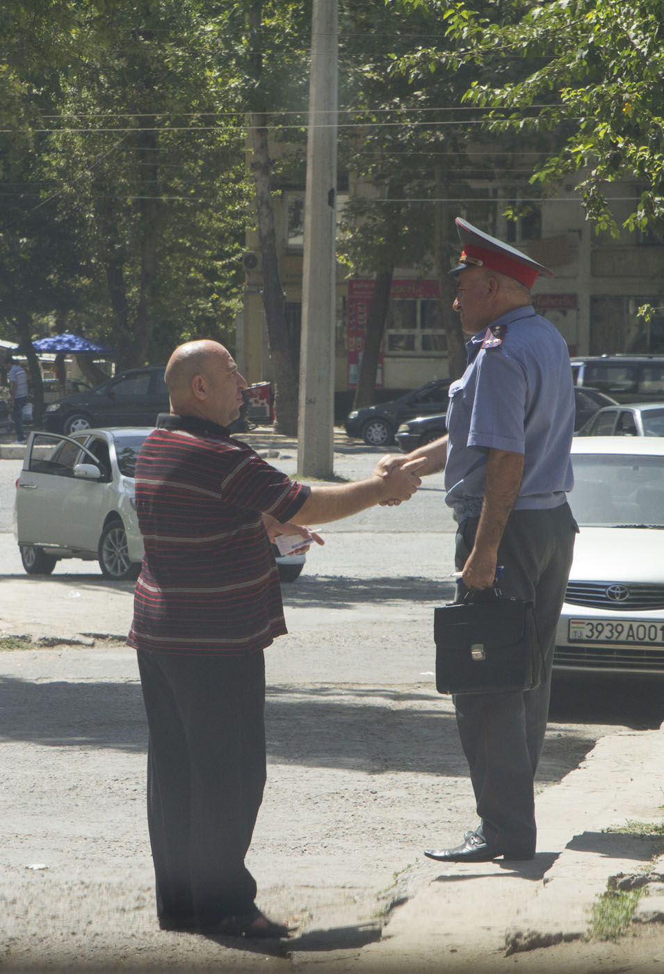 Волок-Туркестан 2015 на пути в Душанбе