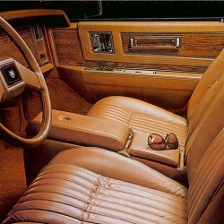 1983 Eldorado Touring Coupe