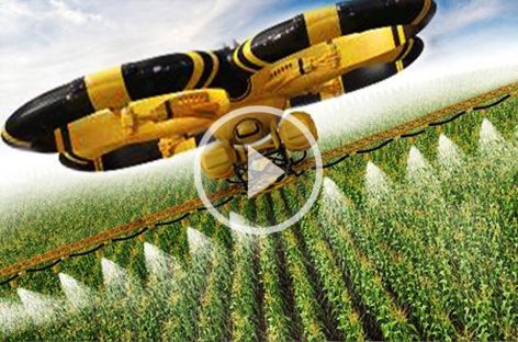 Примитивные технологии против современного сельского хозяйства