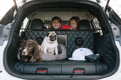 Nissan X-Trail 4Dogs: cделано для любителей животных