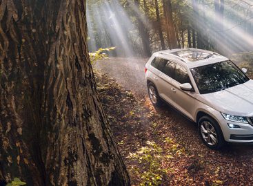 Škoda Kodiaq в России: двигатели и комплектации