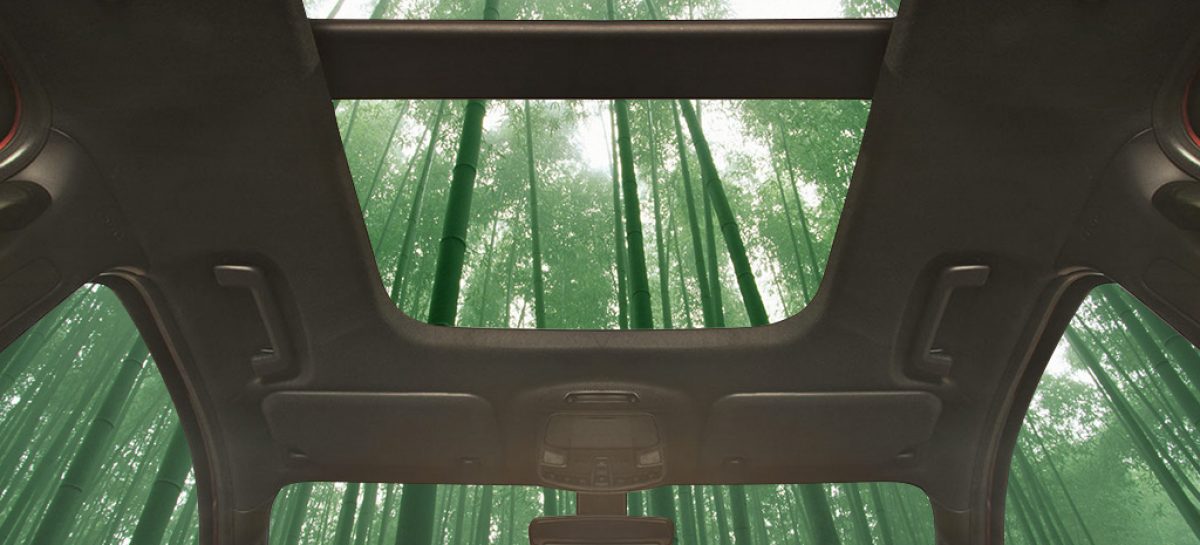 Автомобиль из бамбука