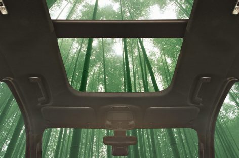 Автомобиль из бамбука