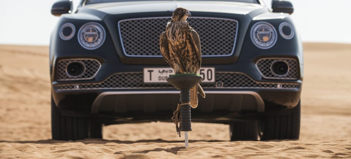 Bentley Bentayga Falconry от Mulliner: автомобиль для поклонников соколиной охоты