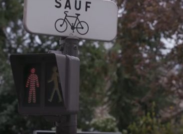 Как отучить пешехода переходить дорогу на красный?