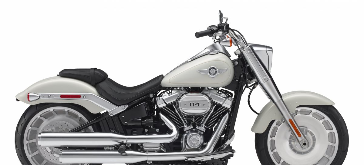 Новые шины для Harley-Davidson® Softail®