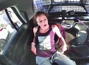 Арестованная американка угнала полицейский автомобиль