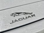 Совместный проект компании Jaguar и фэшн-фотографа Ранкина