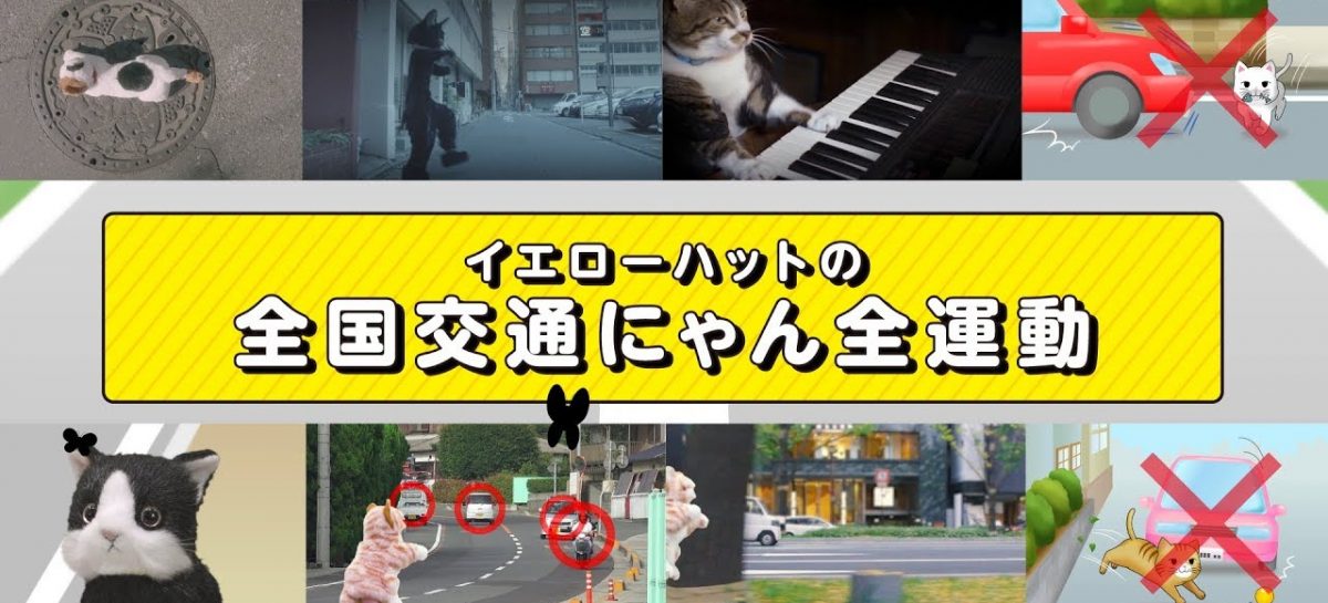 Японцы решили научить кошек правильно вести себя на дороге и сняли им обучающее видео