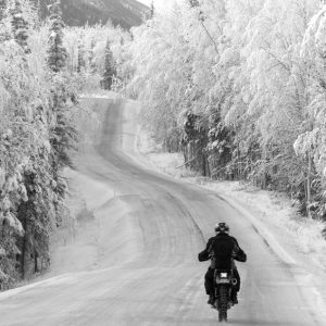 Медведь на мотоцикле фото