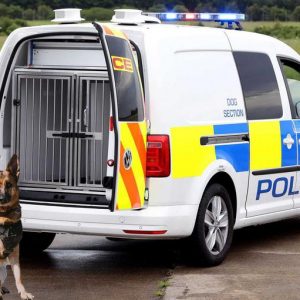 Volkswagen продемонстрировал новый фургон для полицейских собак