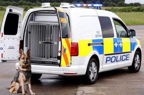 Volkswagen продемонстрировал новый фургон для полицейских собак