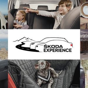 Škoda Auto организует федеральный тур уникальных тест-драйвов для всей семьи