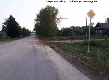 В Кировской области возбудили уголовное дело в отношении судмедэксперта, который обнаружил алкоголь у шестилетнего мальчика, насмерть сбитого полицейским