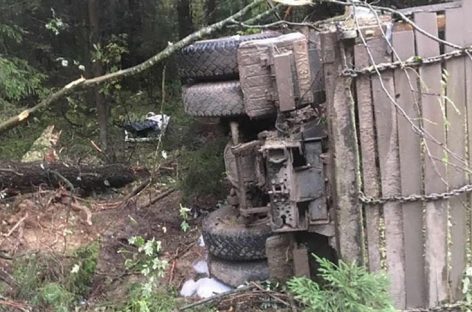 Лесники пилили дерево — ствол упал на кабину едущего МАЗа и придавил водителя