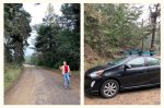 Журналистка взяла машину в каршеринге, потеряла мобильную связь и застряла в горах Калифорнии