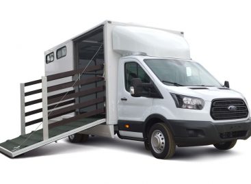 Коневозка: специальная версия Ford Transit для транспортировки лошадей
