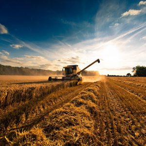 Total Agri: моторные масла для сельского хозяйства