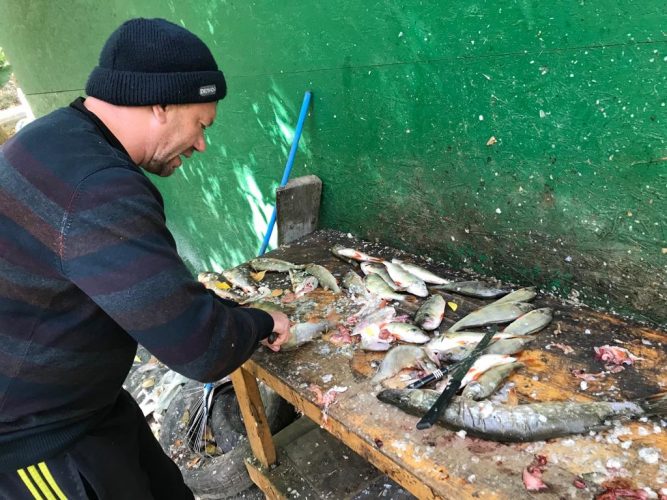Рыбалка на рыболовно-охотничьей базе отдыха «Застава»