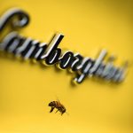 Lamborghini проводит экологический биомониторинг с помощью пчел