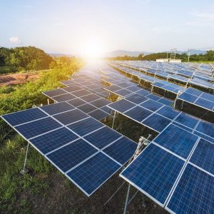 Total Energies запускает крупнейшую солнечную электростанцию во Франции
