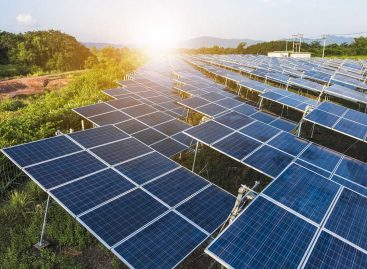 Total Energies запускает крупнейшую солнечную электростанцию во Франции