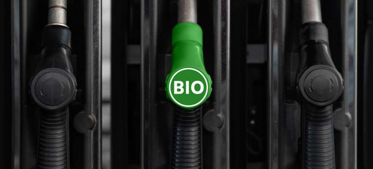 Катализатор для производства биотоплива синтезирован международным научным коллективом
