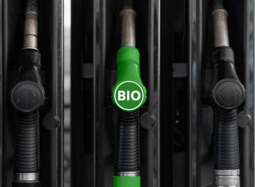 Катализатор для производства биотоплива синтезирован международным научным коллективом