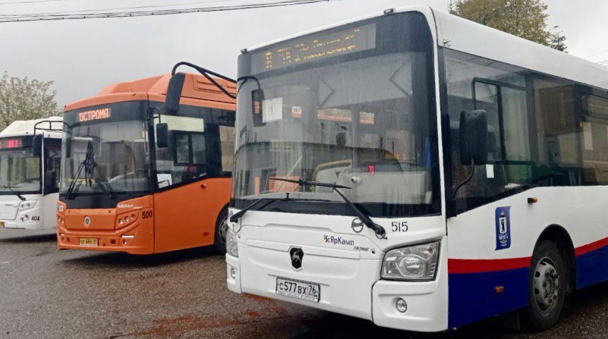 Предложения по модернизации общественного транспорта Костромской области