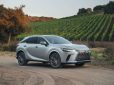 Тест-драйв Lexus RX: Он вам не Exceed