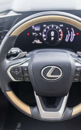 Тест-драйв Lexus RX: Он вам не Exceed